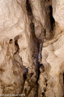 Windjana Gorge Devonian Limestone
